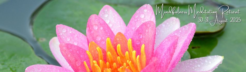 Attachment Mindfulness Meditation Retreat (951 x 280 px).jpg